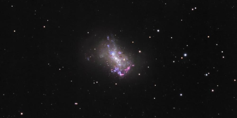 NGC 4449