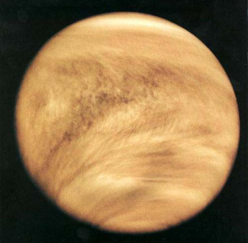 Venus 